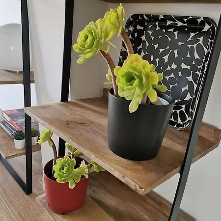 Bellavista Apartment Cordoba